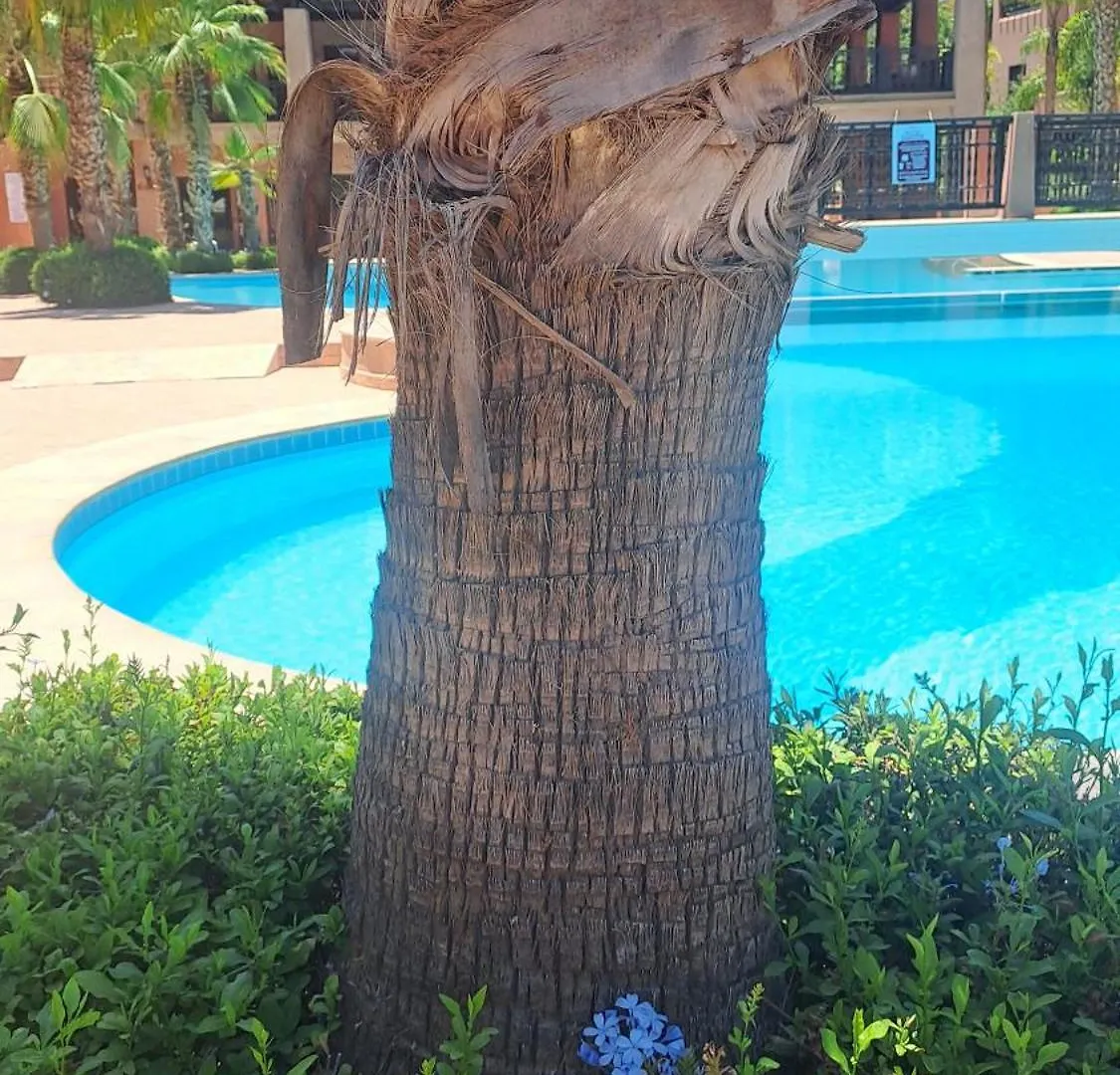 Appartement Avec Piscine Dans Une Belle Residence Privee マラケシュ